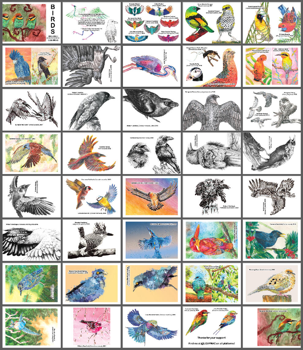 &quot;Birds&quot;, Personal Work, 2010-2023